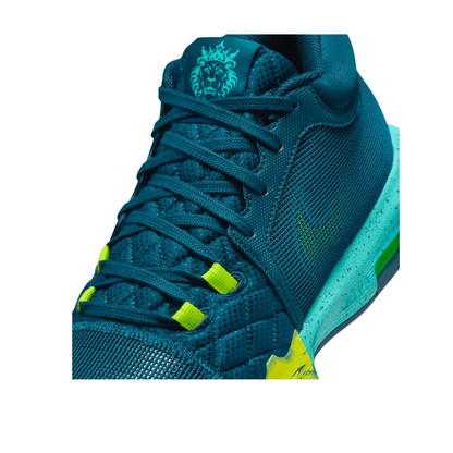 Nike Lebron Witness